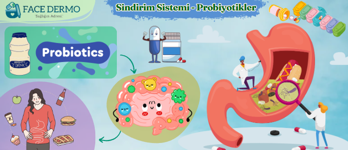 Sindirim Sistemi Ve Probiyotikler